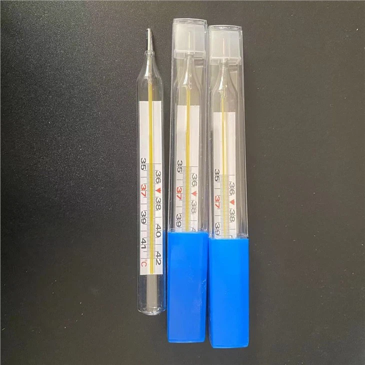 Mercury Thermometer For Kids